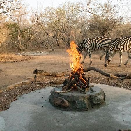 Hello Kruger Hideaway Cottage & Skilpad Studio Marloth Park Dış mekan fotoğraf