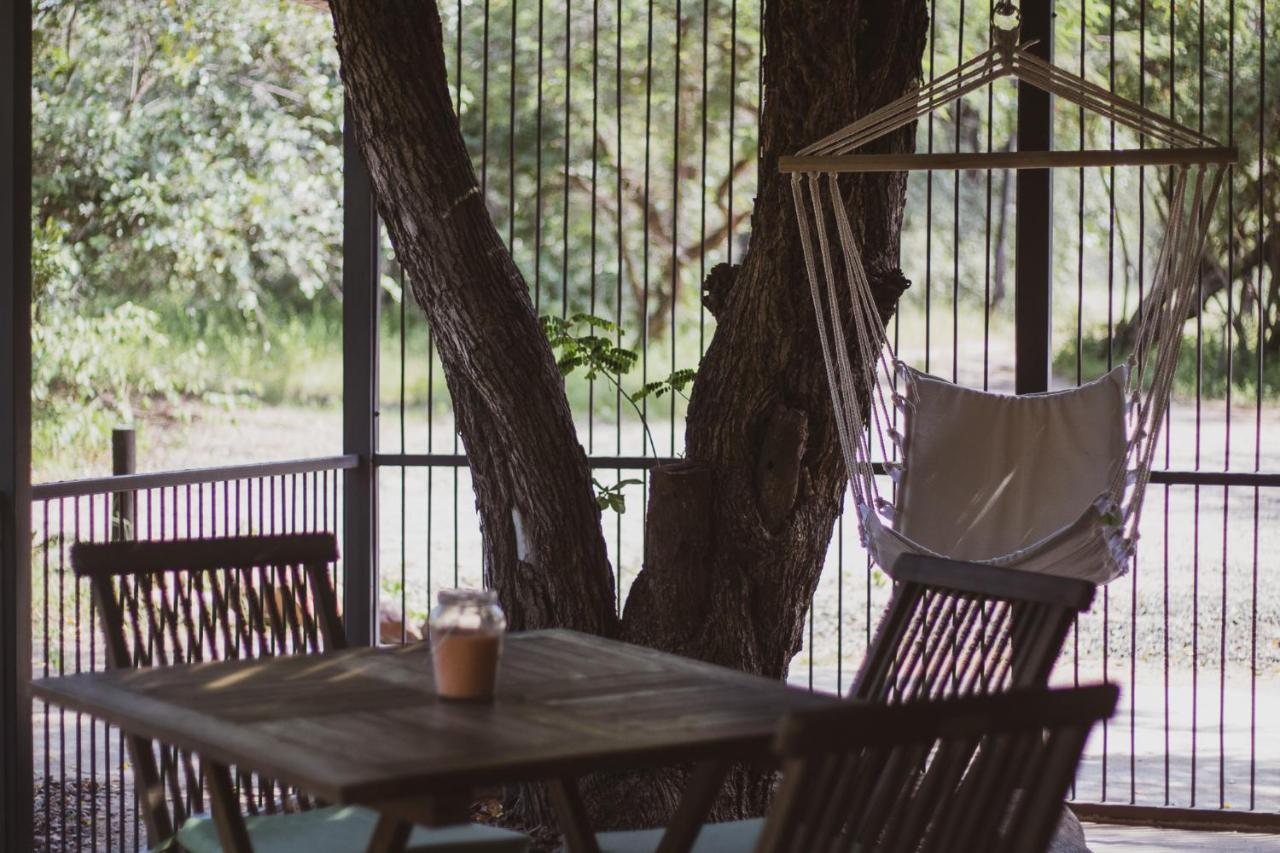 Hello Kruger Hideaway Cottage & Skilpad Studio Marloth Park Dış mekan fotoğraf