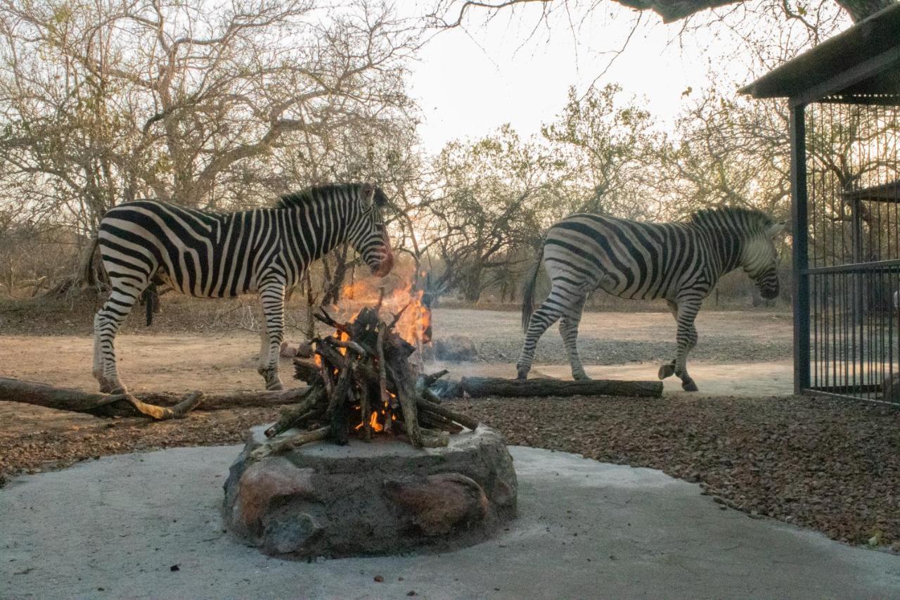 Hello Kruger Hideaway Cottage & Skilpad Studio Marloth Park Dış mekan fotoğraf
