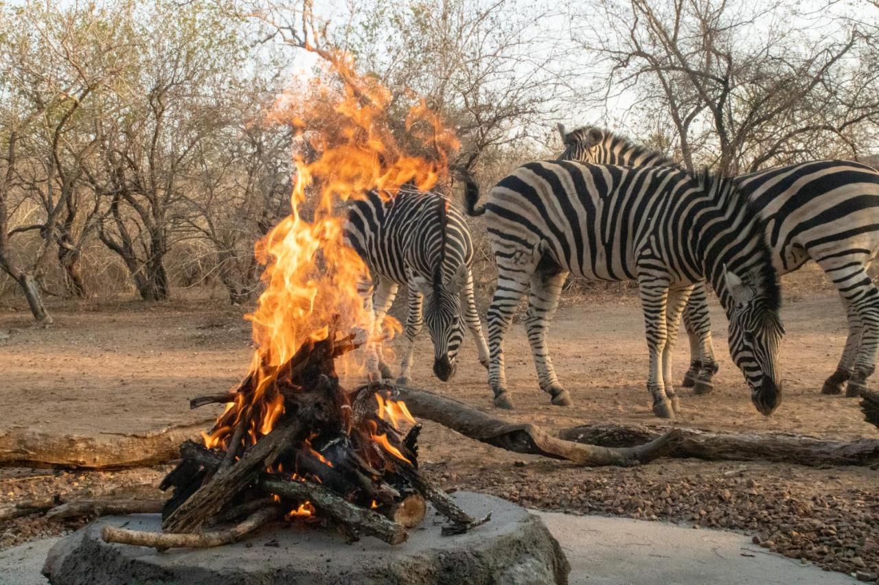 Hello Kruger Hideaway Cottage & Skilpad Studio Marloth Park Dış mekan fotoğraf